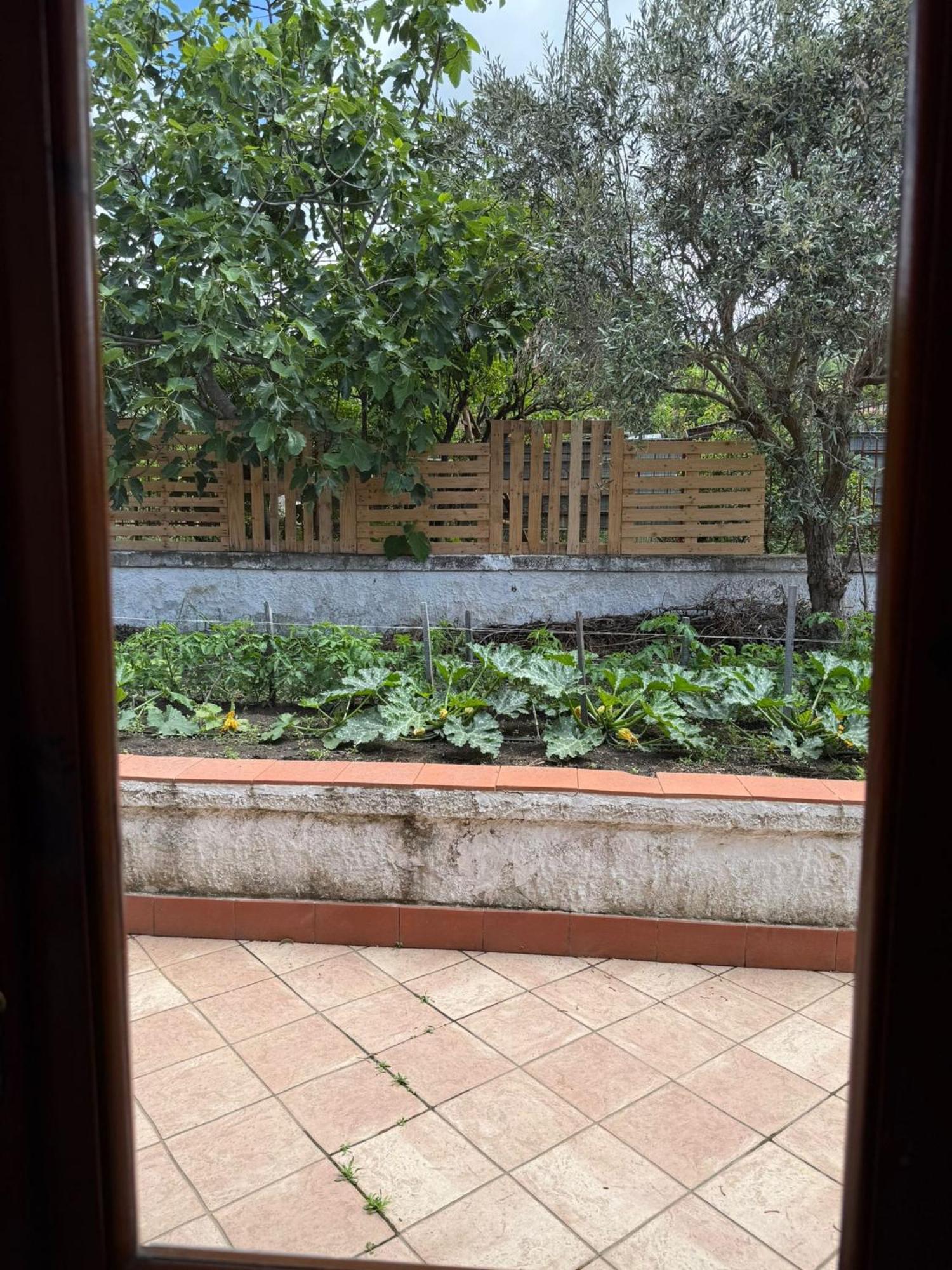 B&B Ioli Vesuvio Ercolano Exterior foto